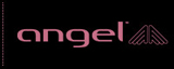 Women’s Fashion Sunglasses – A Celebration of Style Angel Eyewear